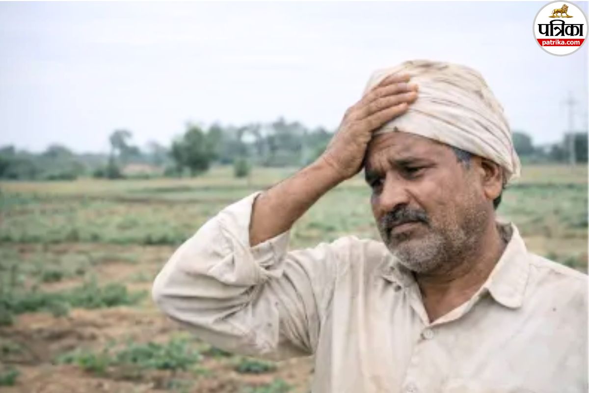 मंत्री राजपूत ने कहा- गेहूं खरीदी और कर्ज माफी पर निर्णय नहीं, केंद्र संवेदनशील