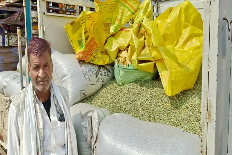 Farmers are unhappy with the low price of peas, they sowed expensive seeds and now the prices have decreased