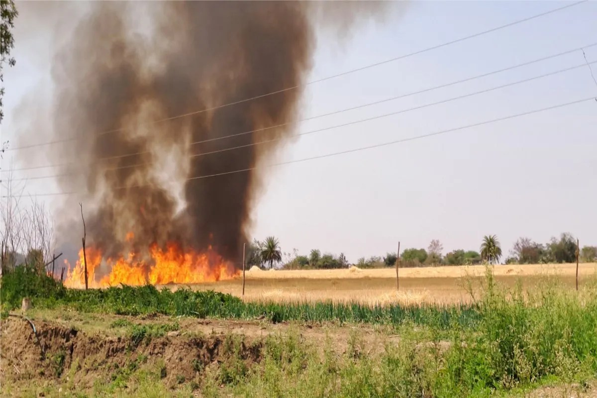 25 applications for super seeder machines were received by six farmers, only two received straw reaper machines.