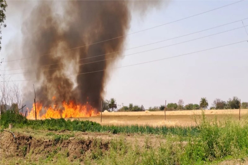 25 applications for super seeder machines were received by six farmers, only two received straw reaper machines.