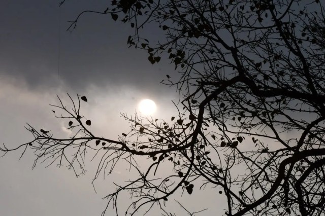 उत्तर प्रदेश में बढ़ने लगी गर्माहट, अगले हफ्ते पश्चिमी हिस्सों में बारिश के आसार
