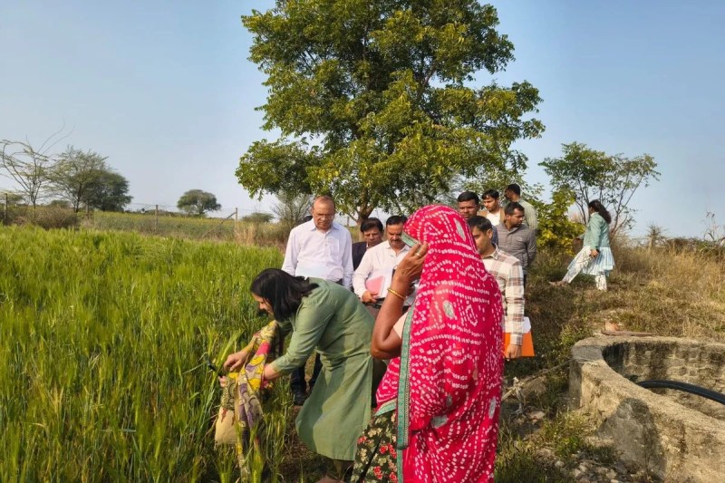 Only 'nano technology' and 'innovation' in agriculture will change the fate of farmers.