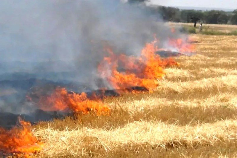 Agriculture Department News