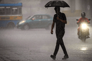 Rain Alert