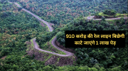 Mhow-Balwara rail line construction 1 lakh trees will be felled telangana connectivity mp news
