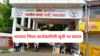 bhopal bjp district executive list controversy minister mla areas ignored nepotism allegations mp news