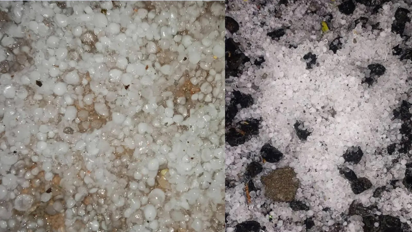 Heavy Hailstorm wreaks havoc destroyed crops and farmers hard work in ujjain mp weather