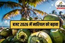India Coconut Production, Union Budget 2026 Coconut, Coconut Promotion Scheme, Nirmala Sitharaman Budget 2026,