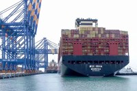 India crude oil import