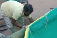 BJP Sarpanch beating youth video viral leader reaches police station over missing dog ashoknagar mp news