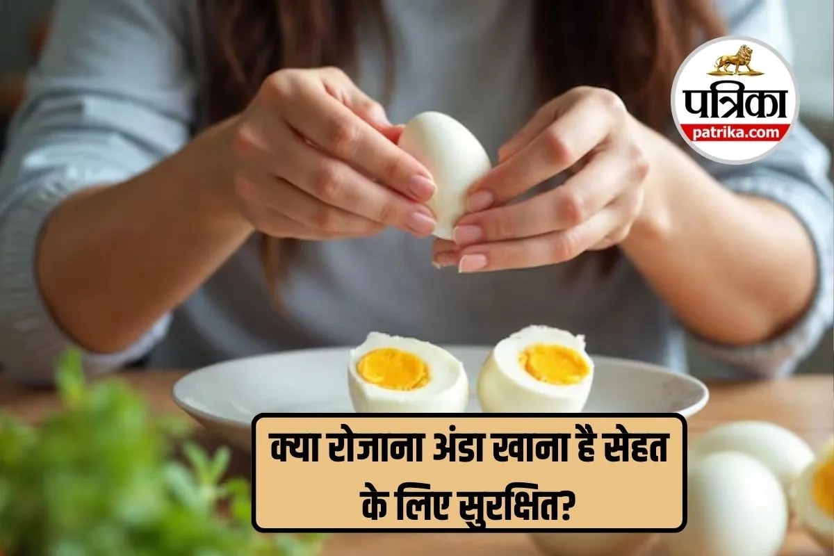 Egg Protein Risks, Egg Side Effects on Digestion,