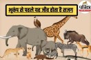 Natural earthquake warning signs, Elephant not ears but legs sense earthquake,
