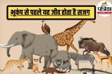 Natural earthquake warning signs, Elephant not ears but legs sense earthquake,