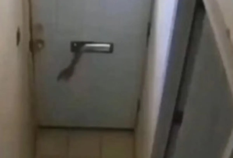 Theft attempt failed