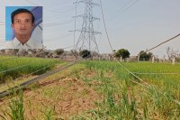 Farmer suicide, Farmer suicide in Pali, Farmer suicide in Rajasthan, Pali news, Rajasthan news, high tension line, किसान सुसाइड, किसान सुसाइड इन पाली, किसान सुसाइड इन राजस्थान, पाली न्यूज, राजस्थान न्यूज, हाईटेंशन लाइन