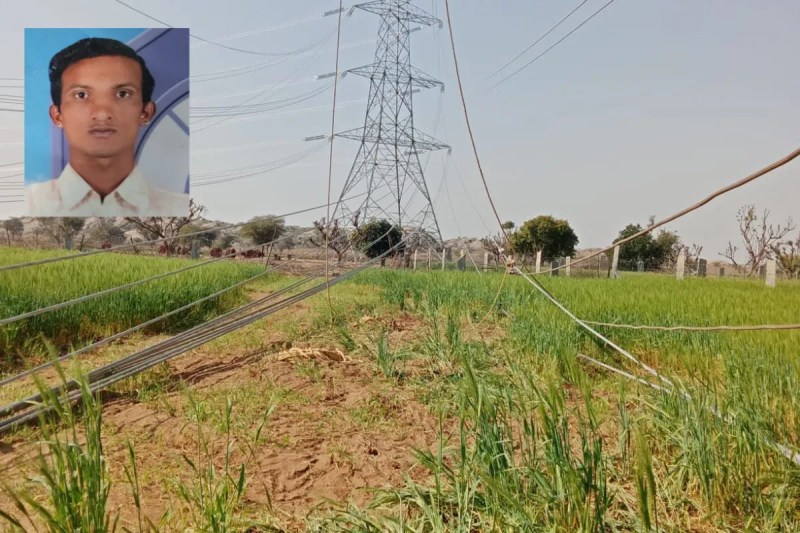 Farmer suicide, Farmer suicide in Pali, Farmer suicide in Rajasthan, Pali news, Rajasthan news, high tension line, किसान सुसाइड, किसान सुसाइड इन पाली, किसान सुसाइड इन राजस्थान, पाली न्यूज, राजस्थान न्यूज, हाईटेंशन लाइन