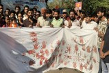 Youth signed with blood demanding cow given Mother of Nation status congress supports mp news