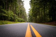 MP Budget 2026 jawad gets 12 new roads and 100 crore development projects
