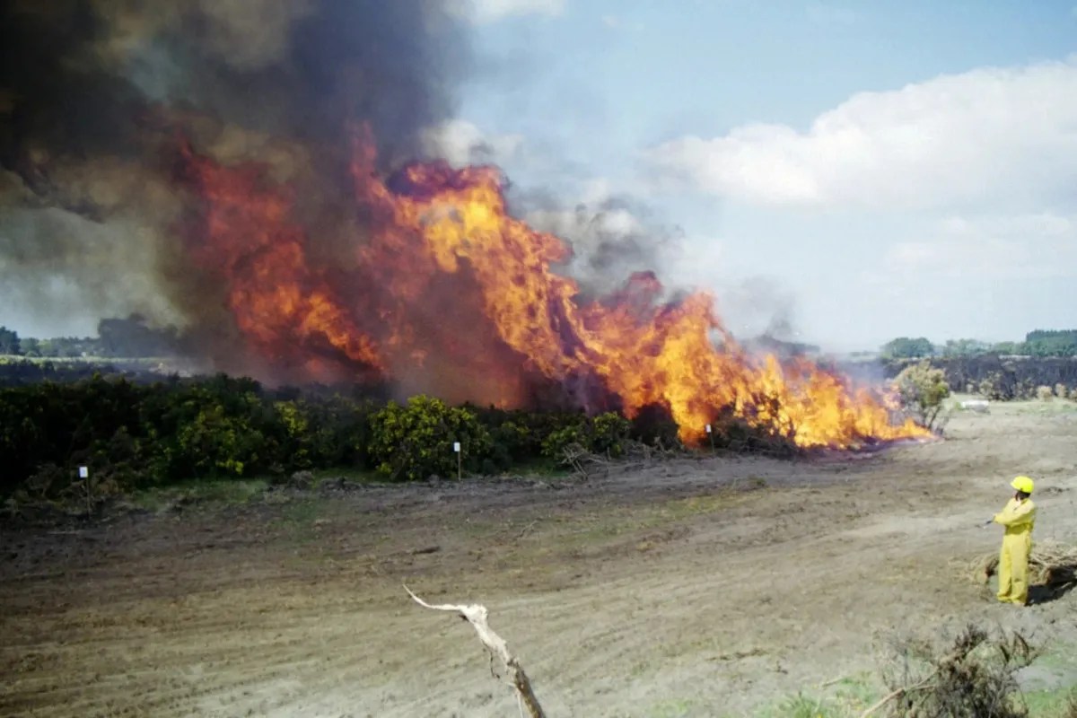fire, mother and son died in fire, mother and son died in fire in Sirohi, mother and son died in fire in Rajasthan, Sirohi news, Rajasthan news, आग, आग से मां-बेटे की मौत, आग से मां-बेटे की मौत इन सिरोही, आग से मां-बेटे की मौत इन राजस्थान, सिरोही न्यूज, राजस्थान न्यूज
