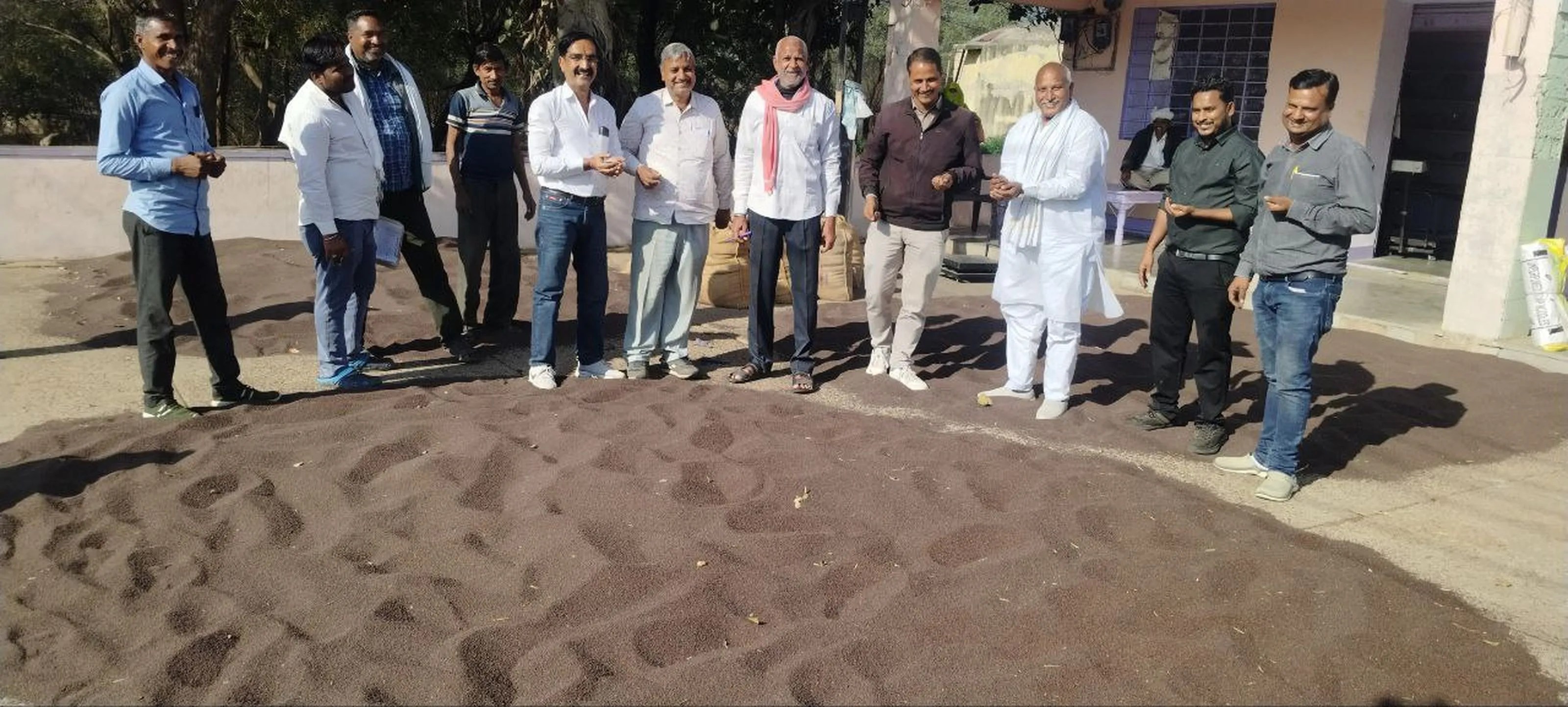 नई सरसों की आवक बढऩे से मंडी में रौनक, पहले से ज्यादा भाव मिलने से किसान खुश