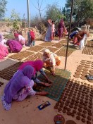 हनुमानगढ़: होलिका दहन को लेकर गोबर के उपले बनाती महिलाएं।