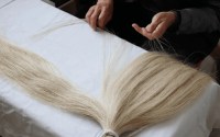 Horsehair