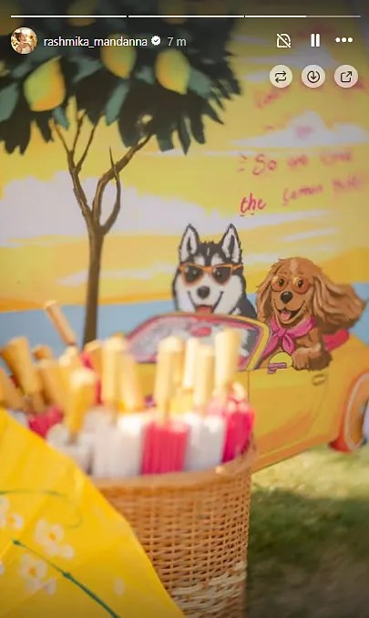 Vijay Deverakonda-Rashmika Mandanna Haldi Ceremony