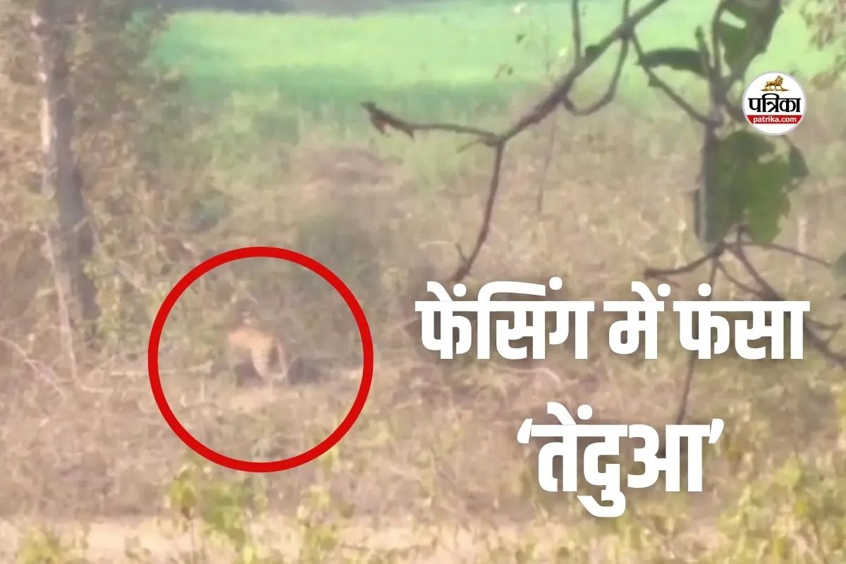 katni news