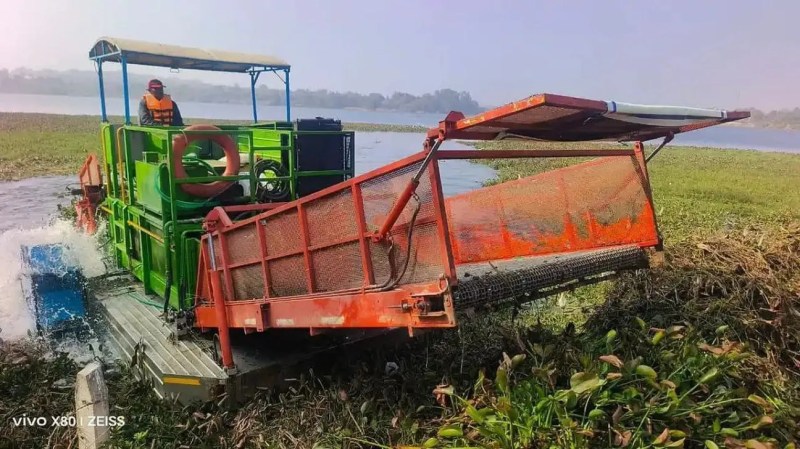 Water hyacinth infestation in Unkal Lake, tourist numbers dwindling