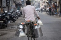Milk Price Hiked