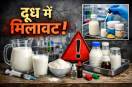 Andhra Pradesh Milk adulteration