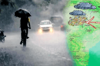 Rain And Thundershower Alert