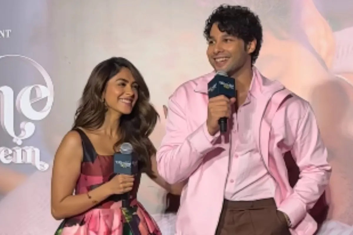 Fact Check: 'आप किसी और की दुल्हन...' मृणाल की शादी की खबर सुन इस एक्टर का टूटा दिल