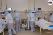 nipah virus