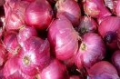 Sikar farmers, Sikar onion farmers, Sikar onion, cold storage, processing unit, onion crop, Sikar news, Rajasthan news, सीकर किसान, सीकर प्याज किसान, सीकर प्याज, कोल्ड स्टोरेज, प्रोसेसिंग यूनिट, प्याज की फसल, सीकर न्यूज, राजस्थान न्यूज