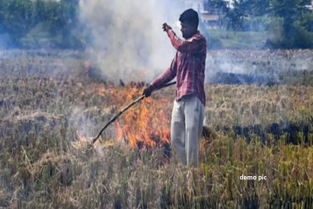 CG Farmer, parali news