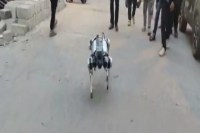 Made In India robot dog PARAM