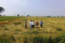 PM Crop Insurance Scheme News