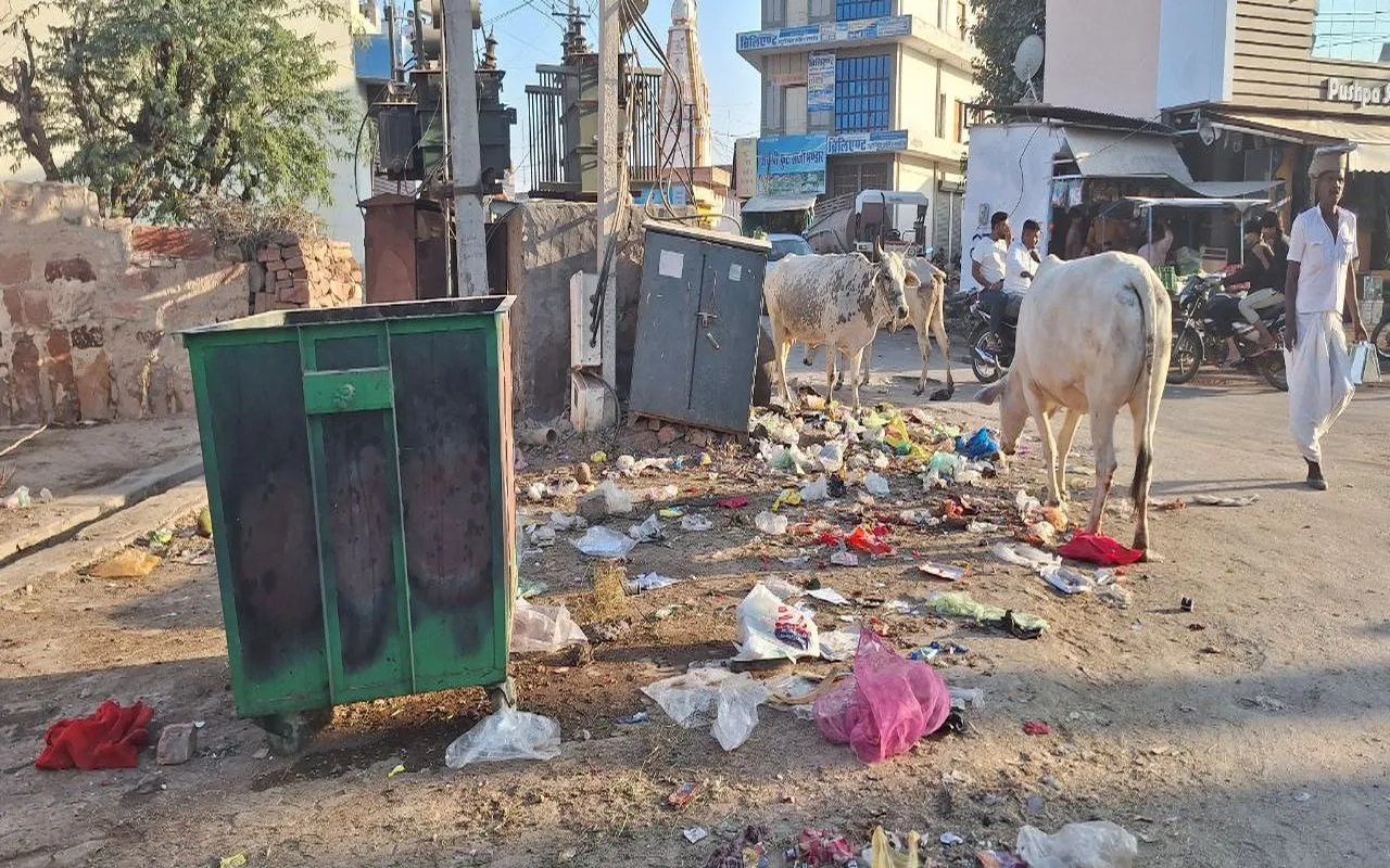 Nagaur patrika news…सडक़ें खाली कराने का दावा, हकीकत में गोवंशों का राज…VIDEO