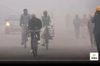 Winter Retreats Early Temperature Surge Marks Unusual February Heat After 8 Years in MP Weather