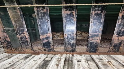 Short video poster image