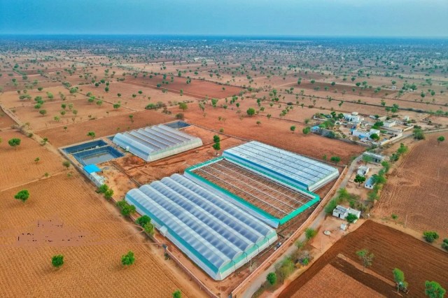 नागौर के मूण्डवा में किसान ने बनाए पॉली हाउस व फार्म पौण्ड