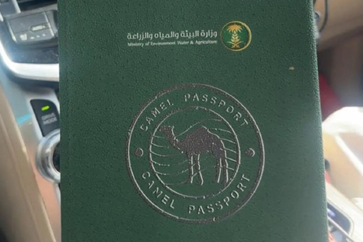 passports for camels