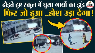 Short video poster image