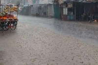 झमाझम हुई बारिश से किसानों की बढ़ीं धडक़नें