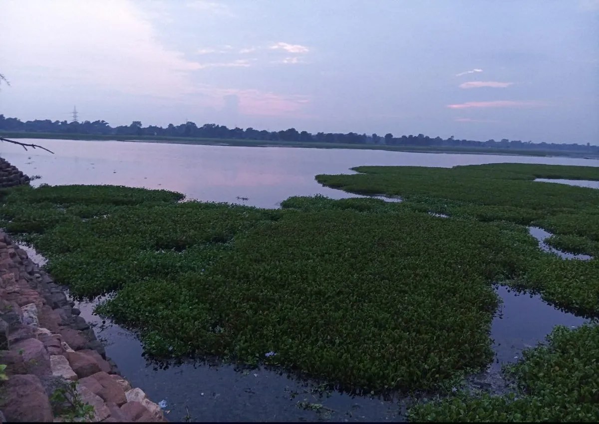 20 गांवों की सिंचाई करने वाली योजना बनी सरकारी लापरवाही की भेंट, किसानों की उम्मीदें दम तोडऩे लगी