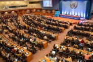 united nations