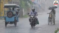 Rain Alert: Western disturbance may cause rain today