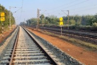 trees of 35 species will be felled for Indore-Budni railway line construction mp news