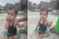 घर के बाहर खेल रही मासूम बच्ची को ट्रैक्टर ने कुचला, मौके पर दर्दनाक मौत (फोटो सोर्स : भाषा WhatsApp News Group)